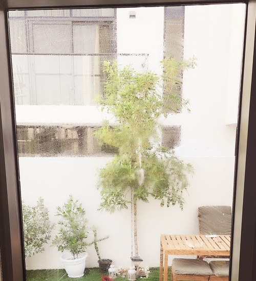 Interior glass before cleaning